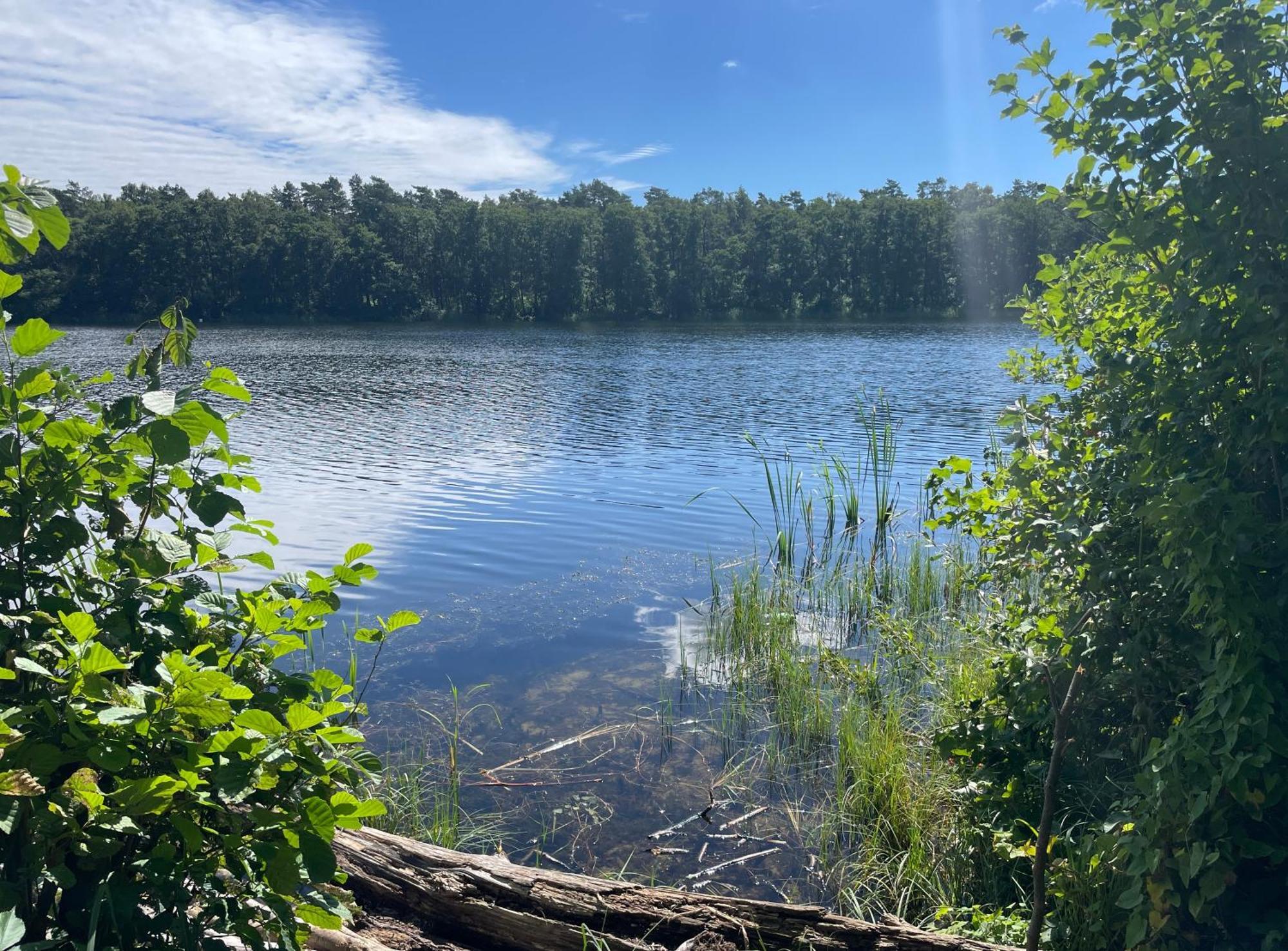 Ostseeperle - Pool, Sauna, 2 Bikes Dziwnów Eksteriør billede